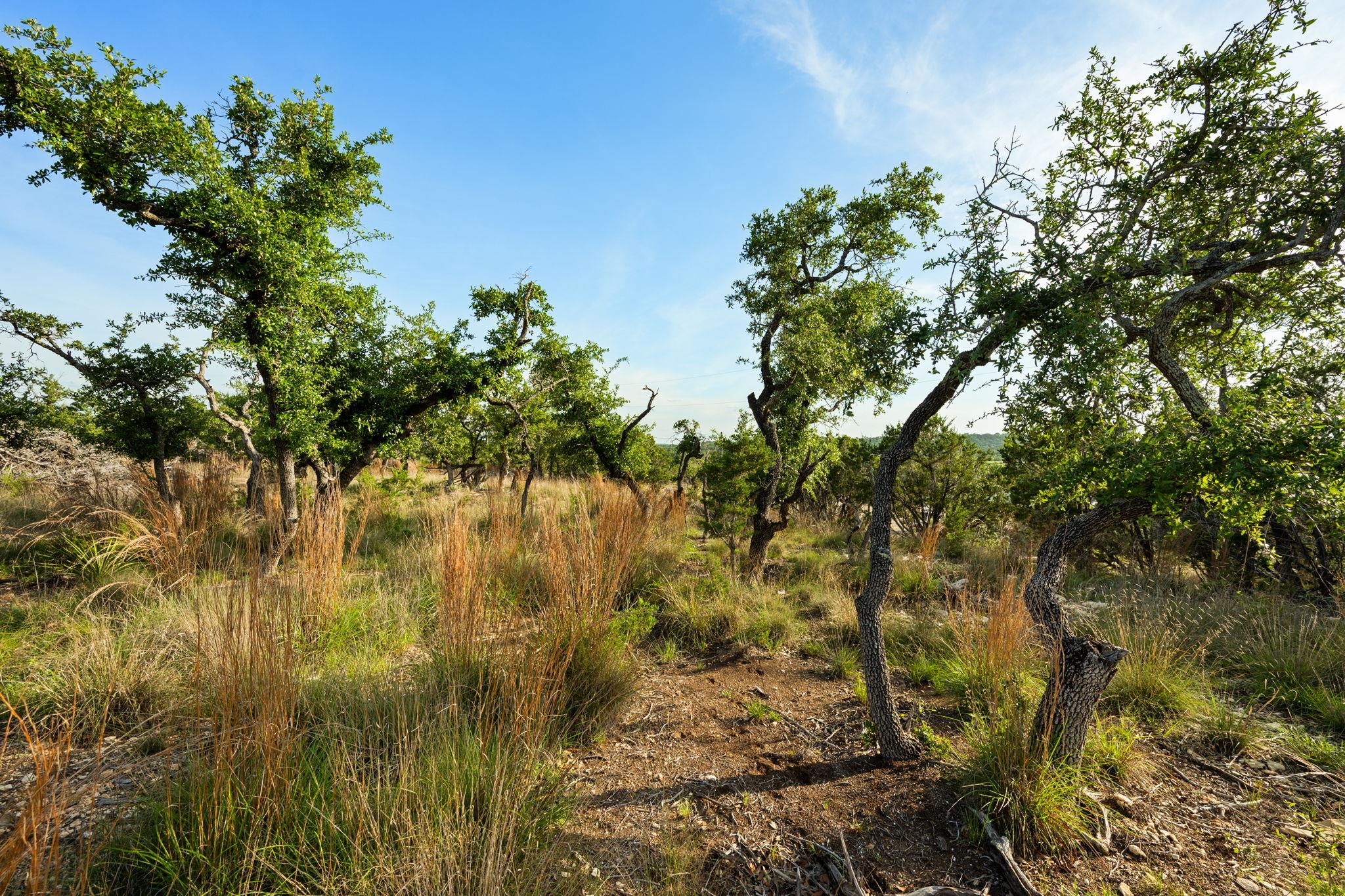 Tract 1 Esperanza Trail