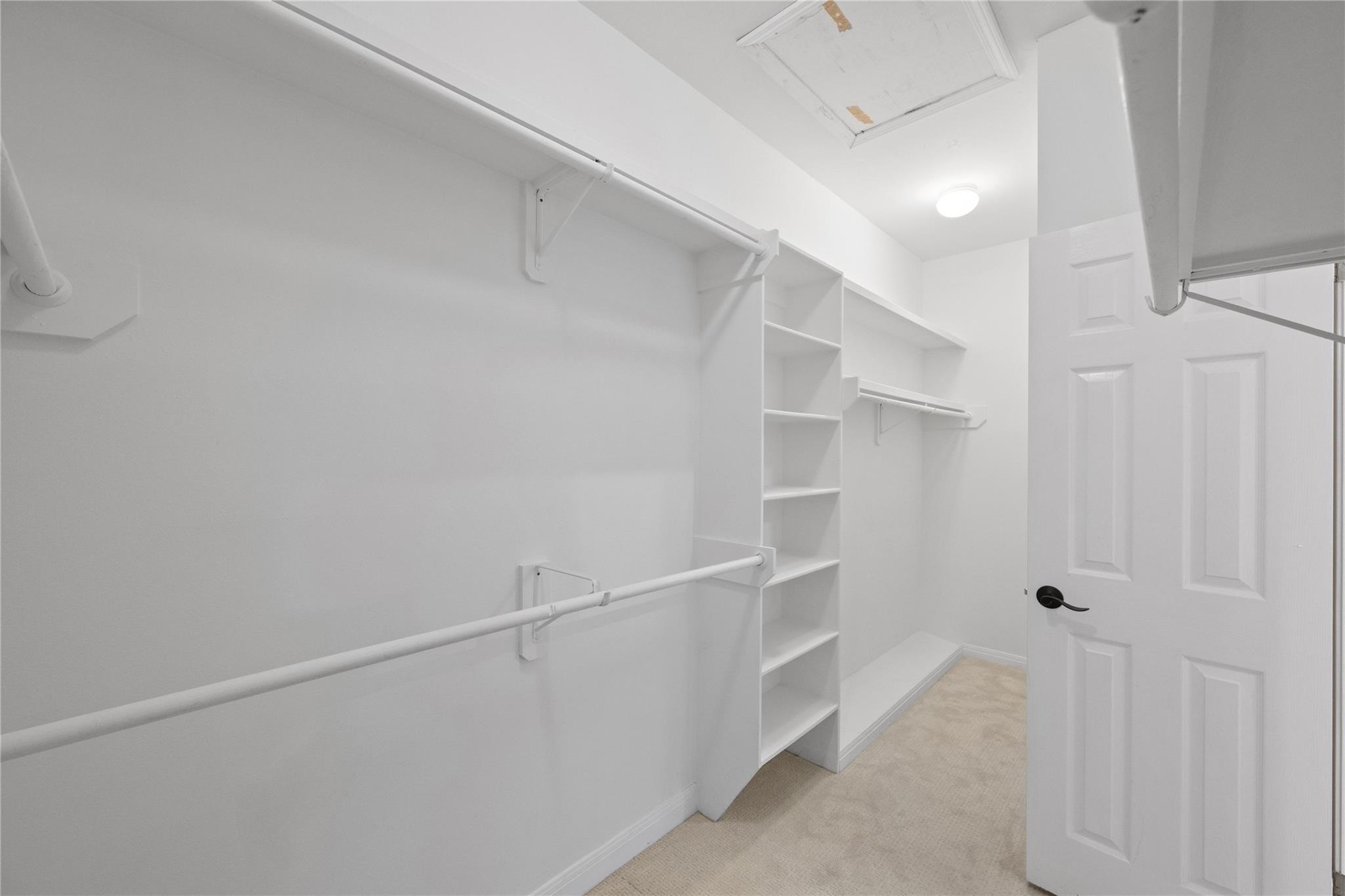 310 Timpanagos DR