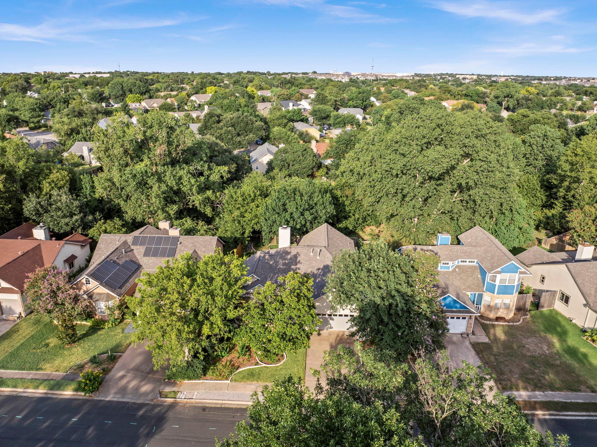 14803 Great Willow DR