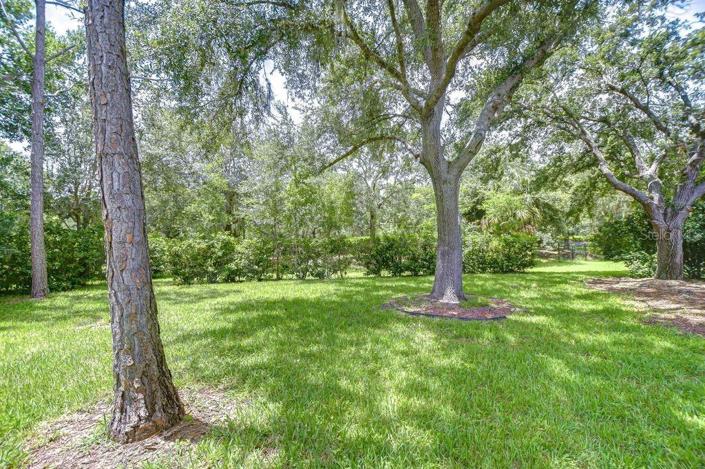 8005 SHADDOCK PL