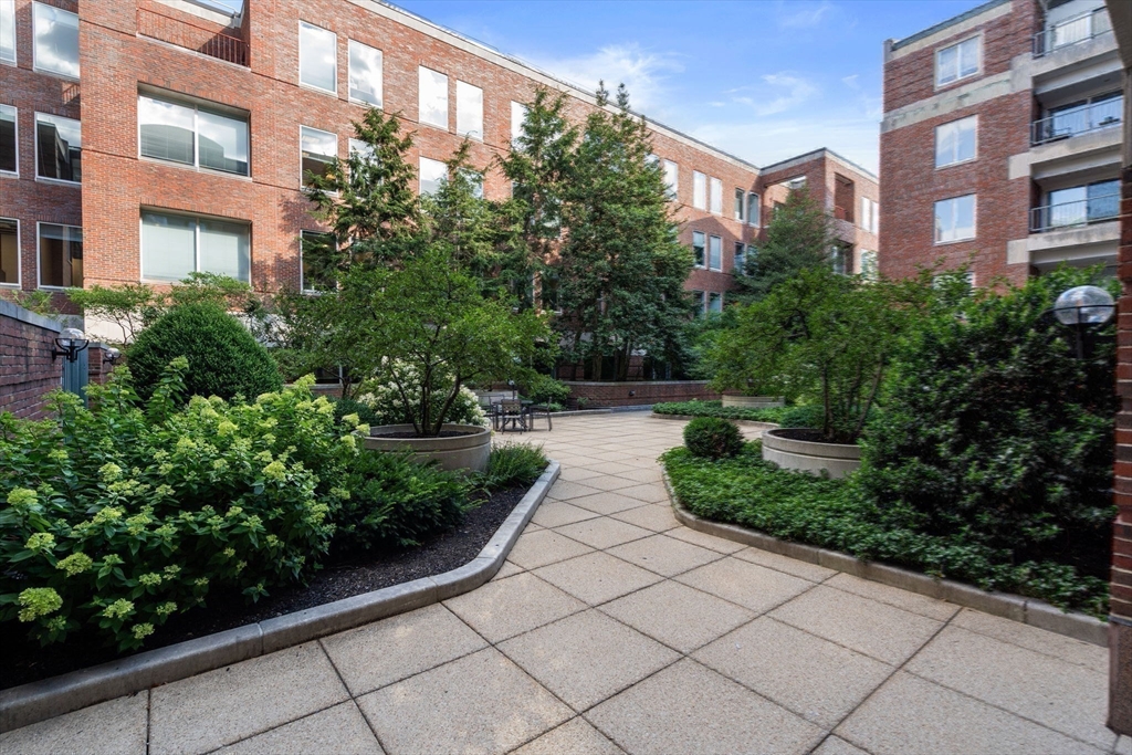 130 Mount Auburn St # 309