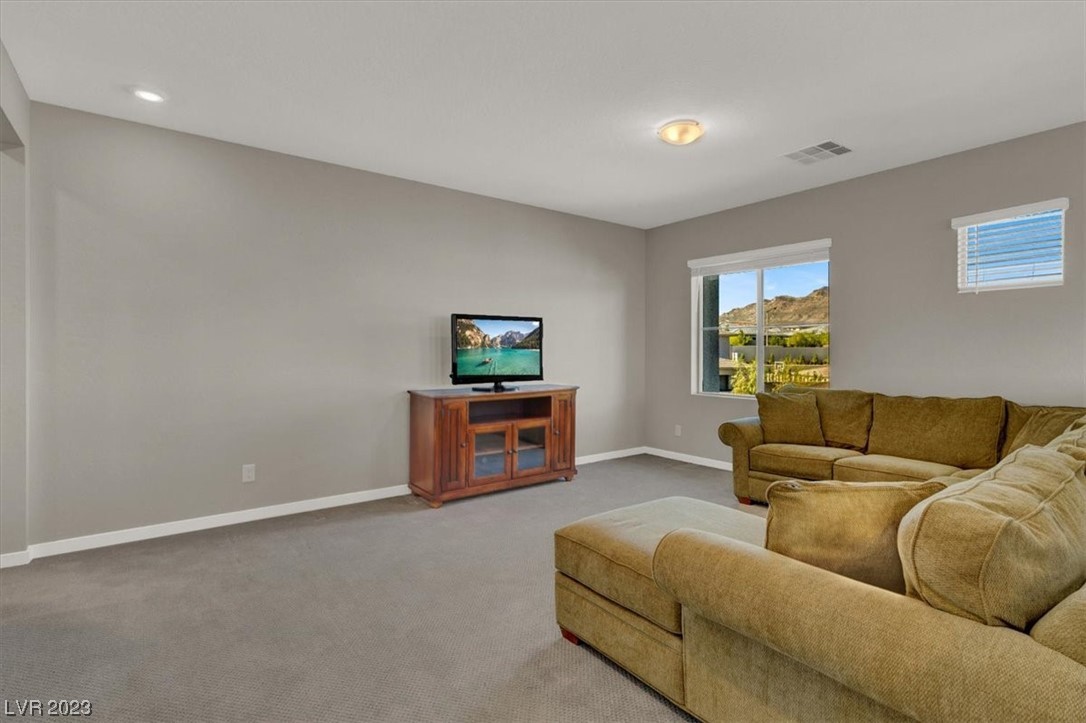 12379 Switchgrass Avenue