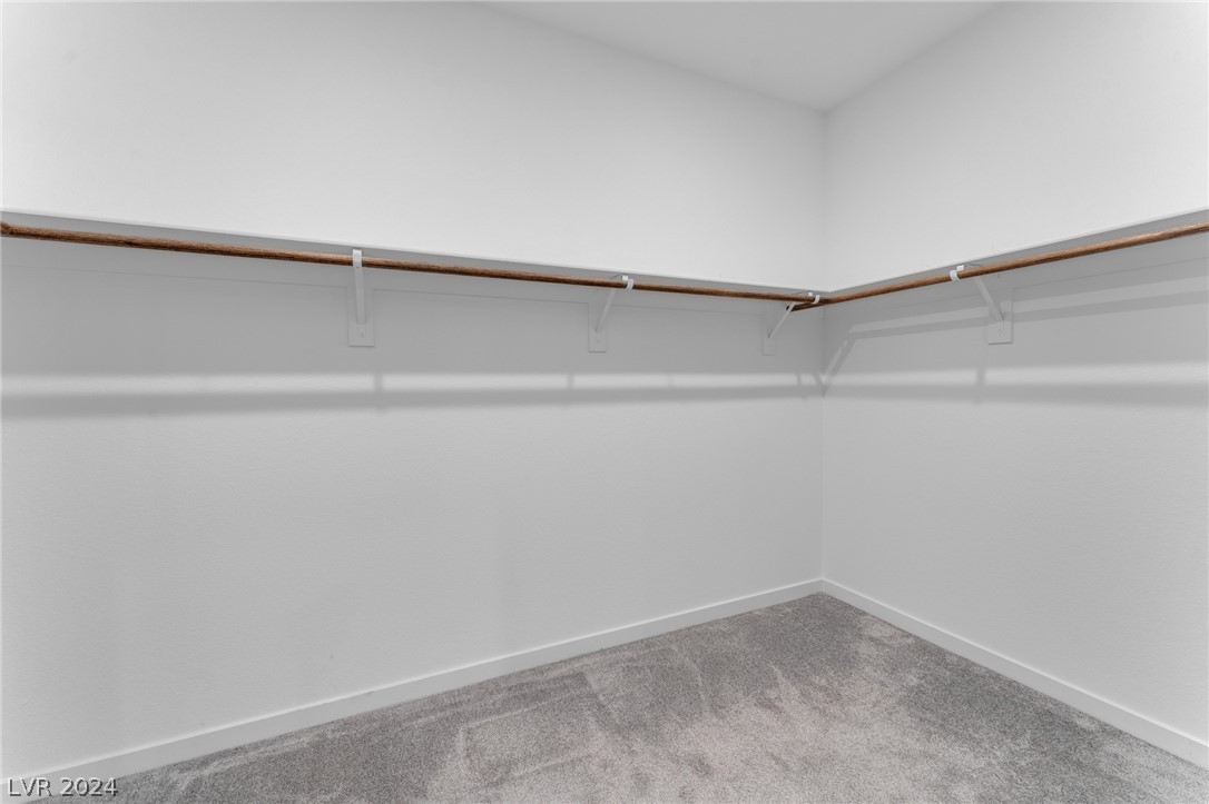 10274 Timberline Valley Avenue