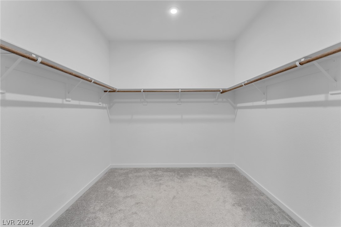 10274 Timberline Valley Avenue