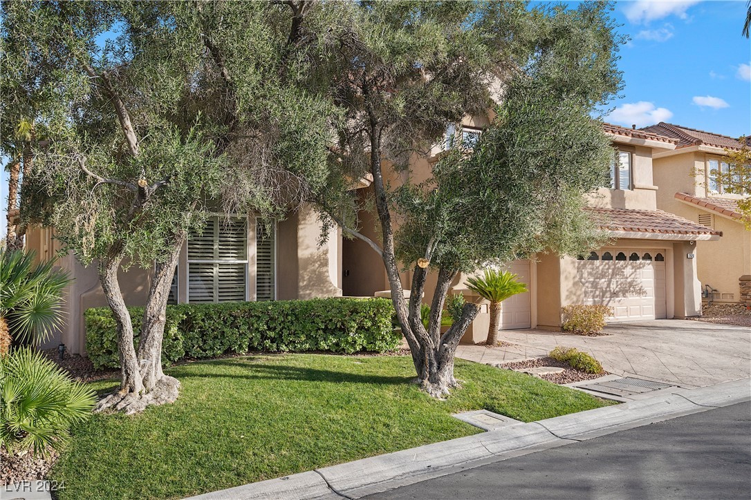 2020 Aspen Oak Street