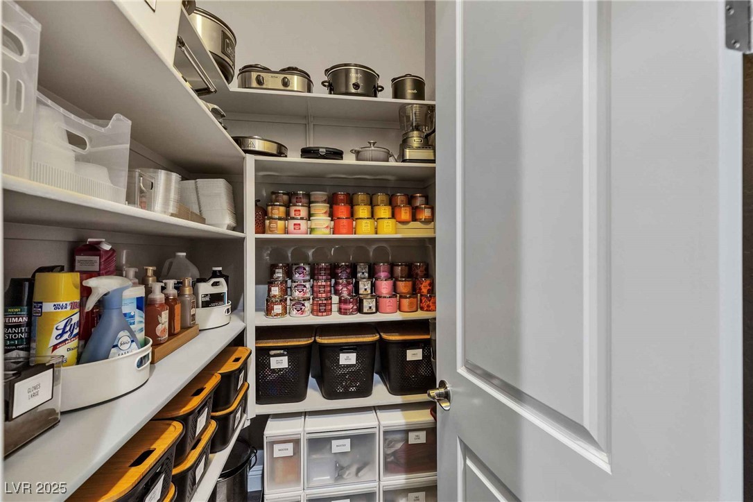 8303 Agave Bloom Street