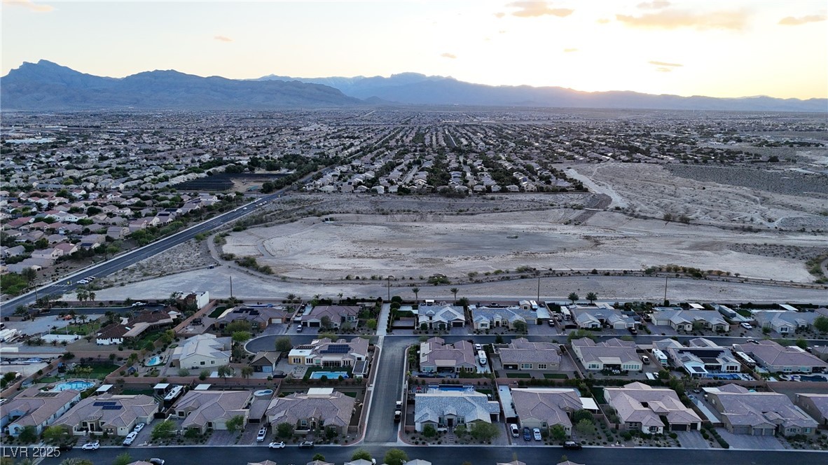 8303 Agave Bloom Street