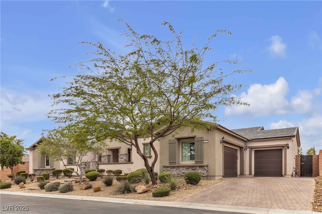 8303 Agave Bloom Street