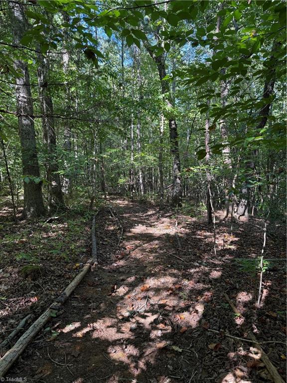 Wooded property with a dirt path winding between mature trees.