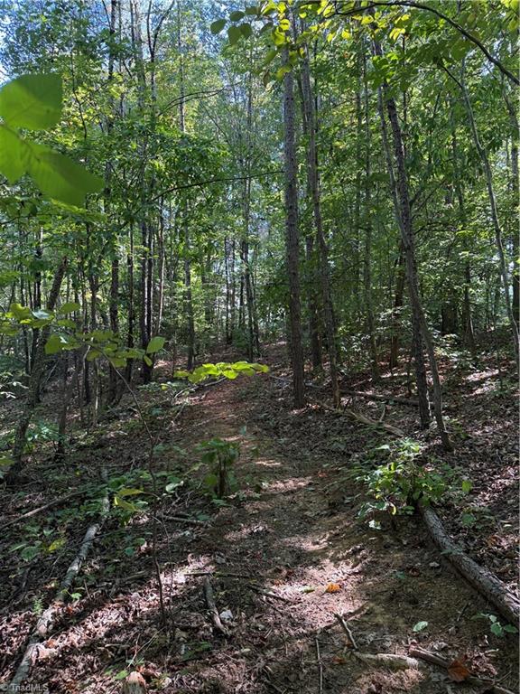 Wooded property with a narrow dirt path beneath a dense canopy of leafy trees.