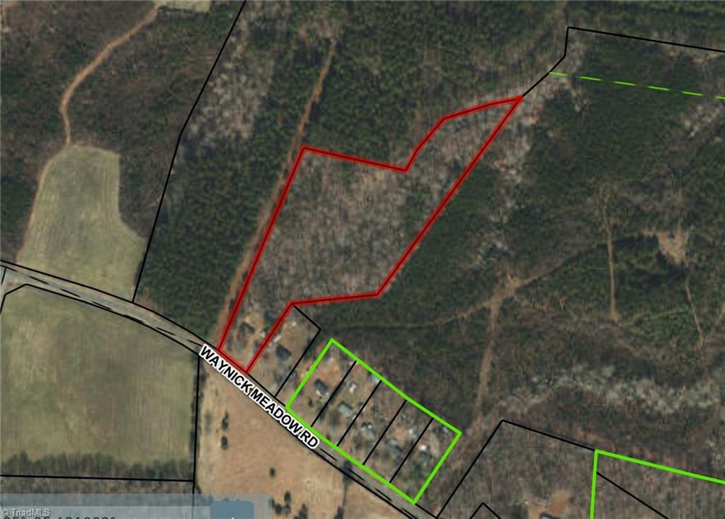 Aerial view of a wooded parcel outlined in red along Waynick Meadow Road.