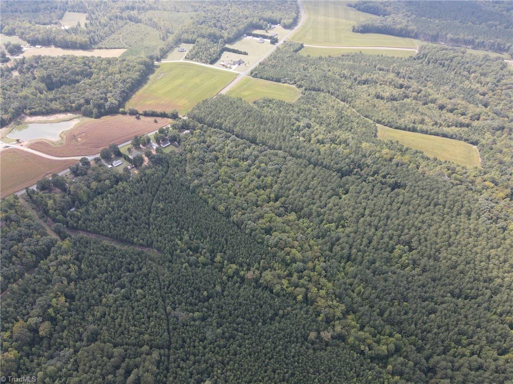 Aerial view of dense woodland bordered by open fields, with a pond and scattered homes nearby.