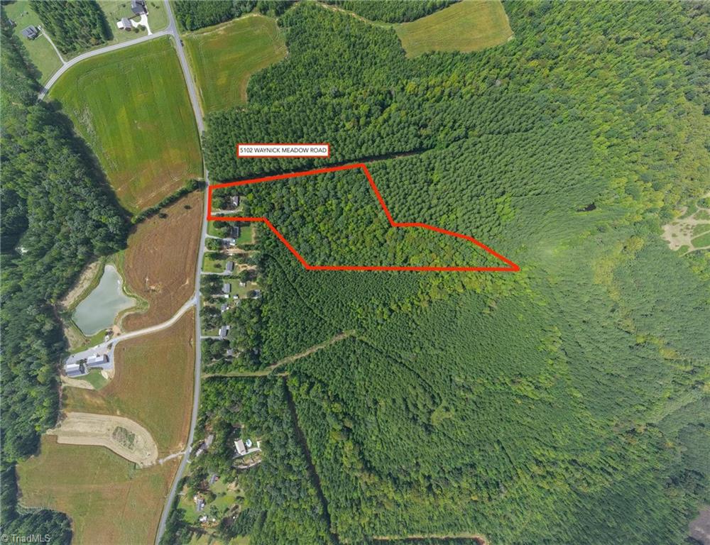 Aerial view of a wooded property outlined in red beside Waynick Meadow Road.