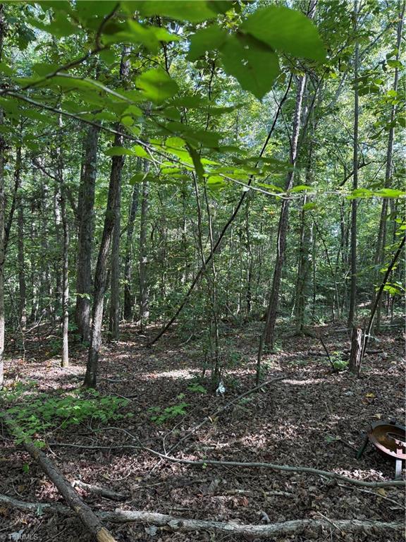 Wooded lot with mature trees, leafy ground, fallen branches, and a metal fire pit.