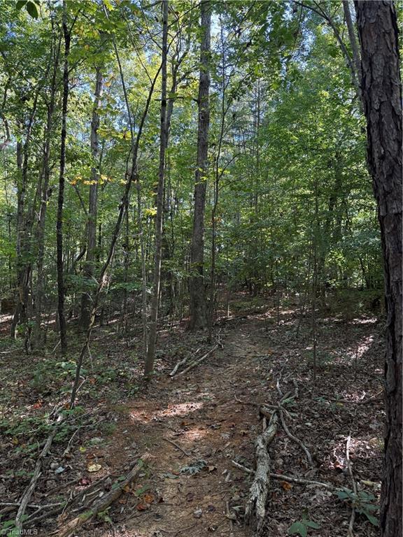 Wooded property with a narrow dirt path beneath a dense green tree canopy.