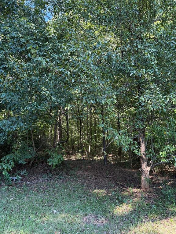 Wooded area beyond a grassy clearing.