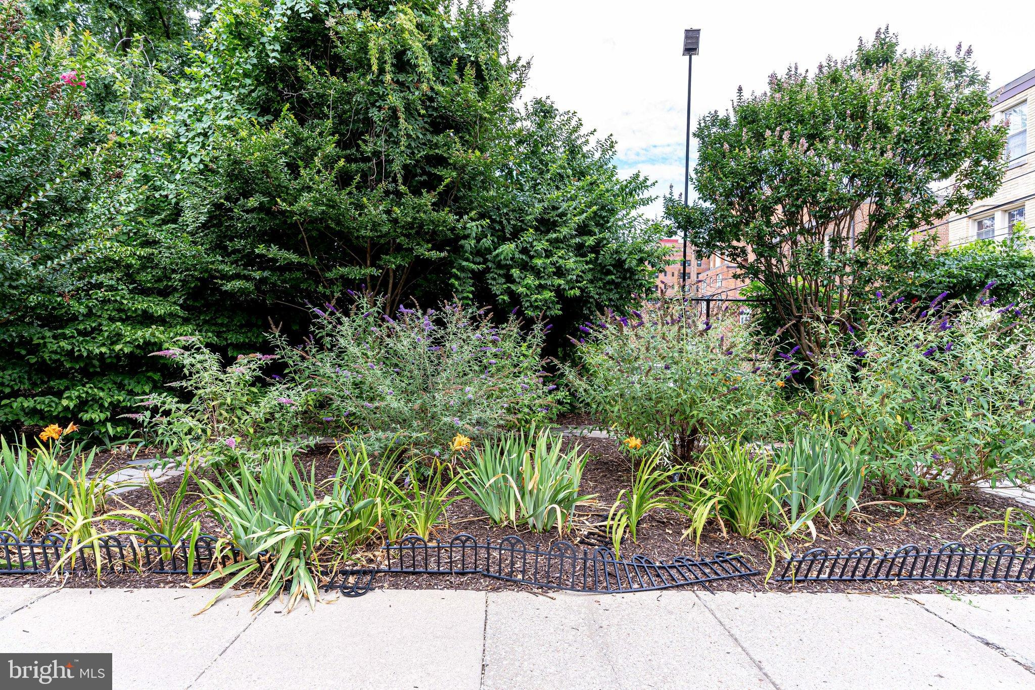 3024 Wisconsin AVENUE NW Unit: 205
