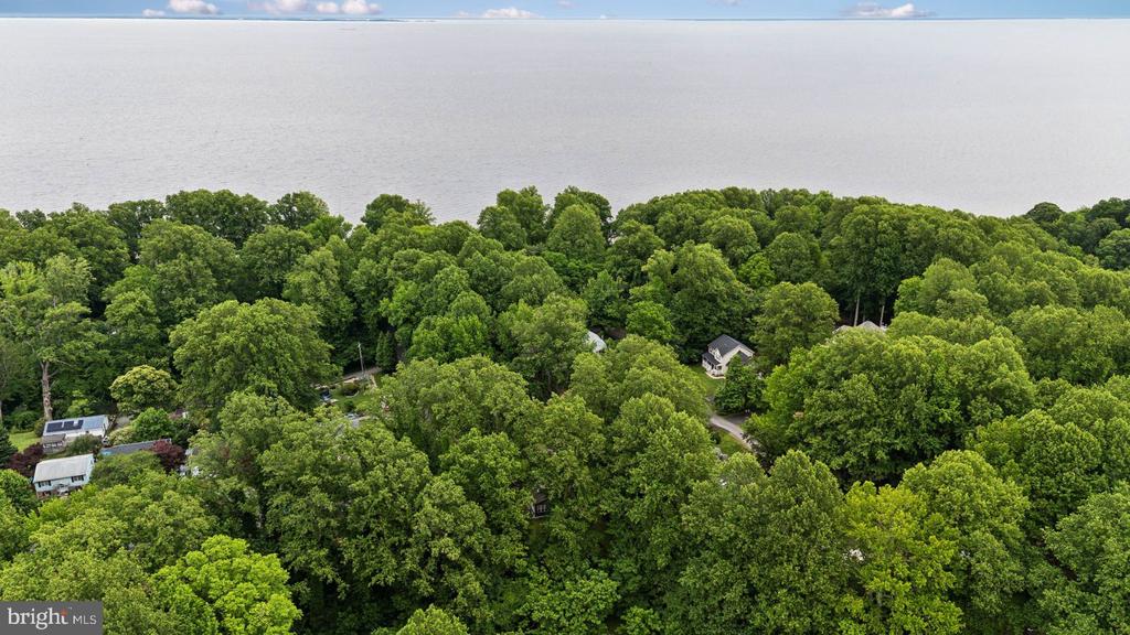 5114 Rosemary Dr
