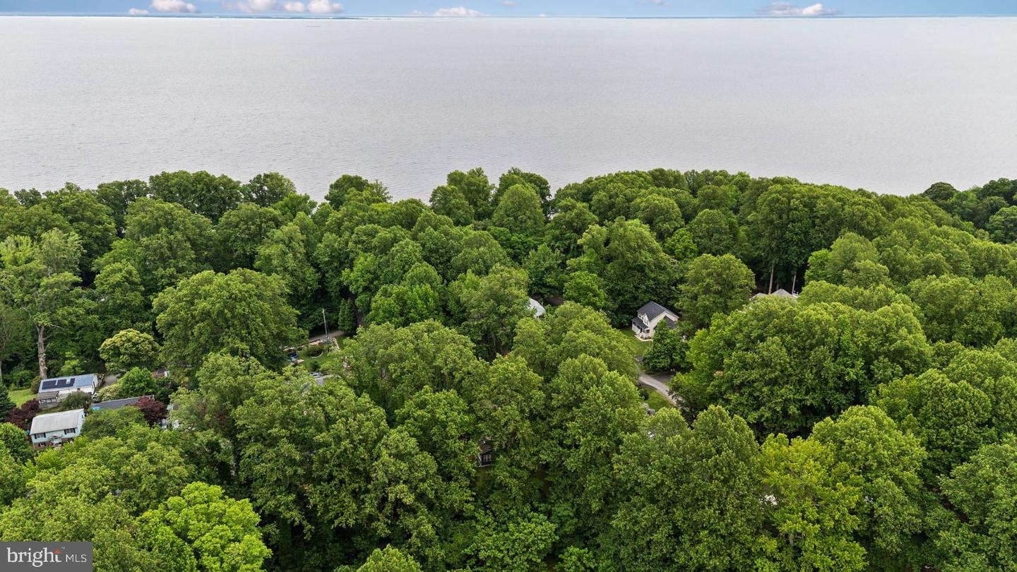 5114 Rosemary Dr