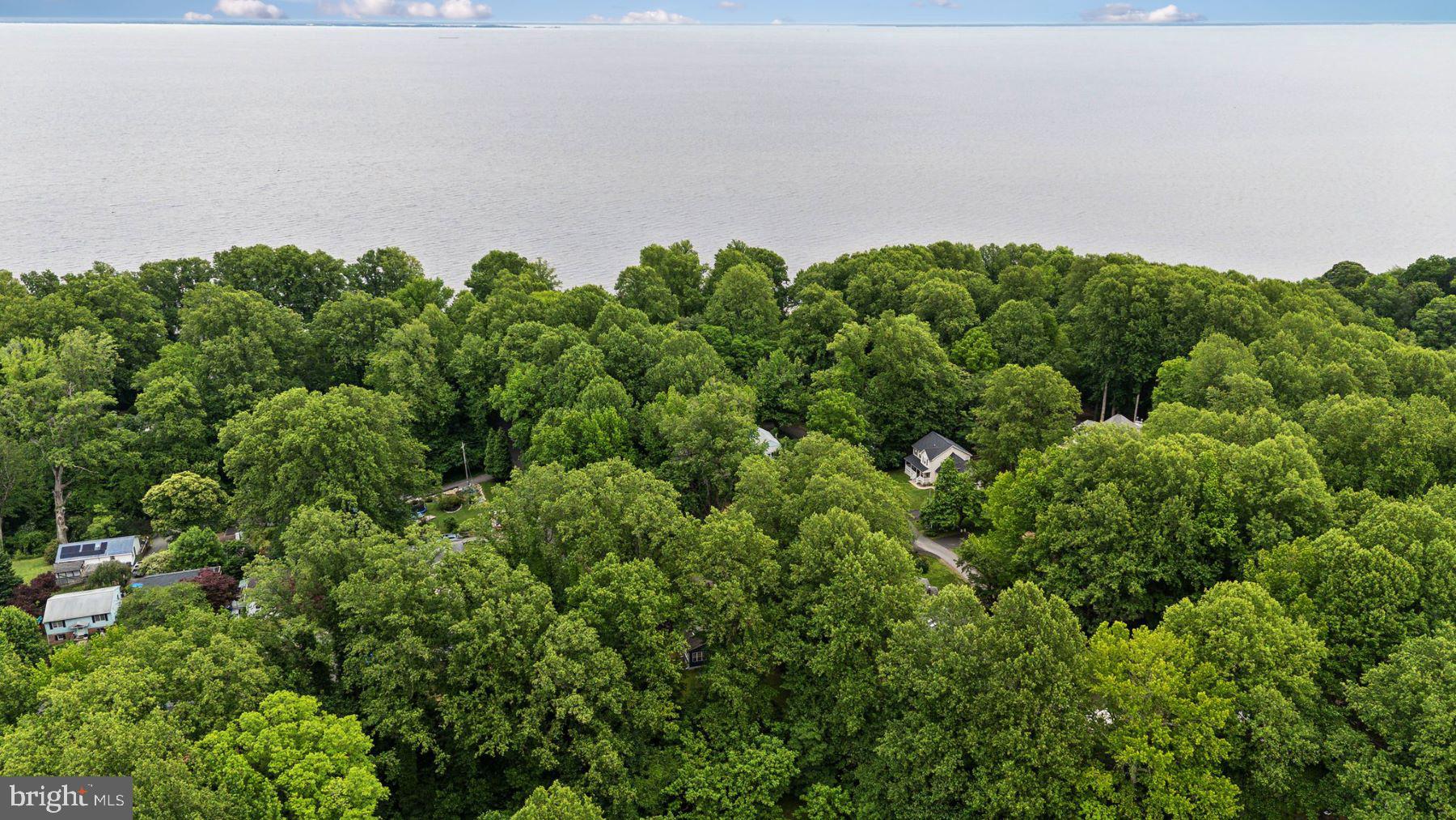 5114 Rosemary Dr