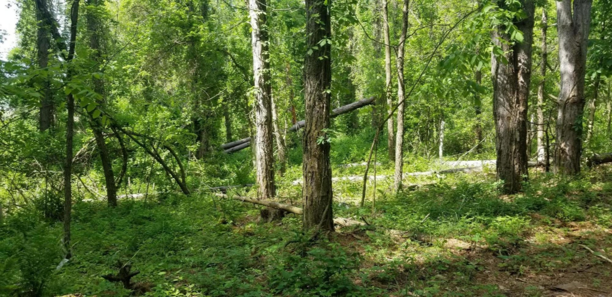 Lot A-3 Meadow View Lane