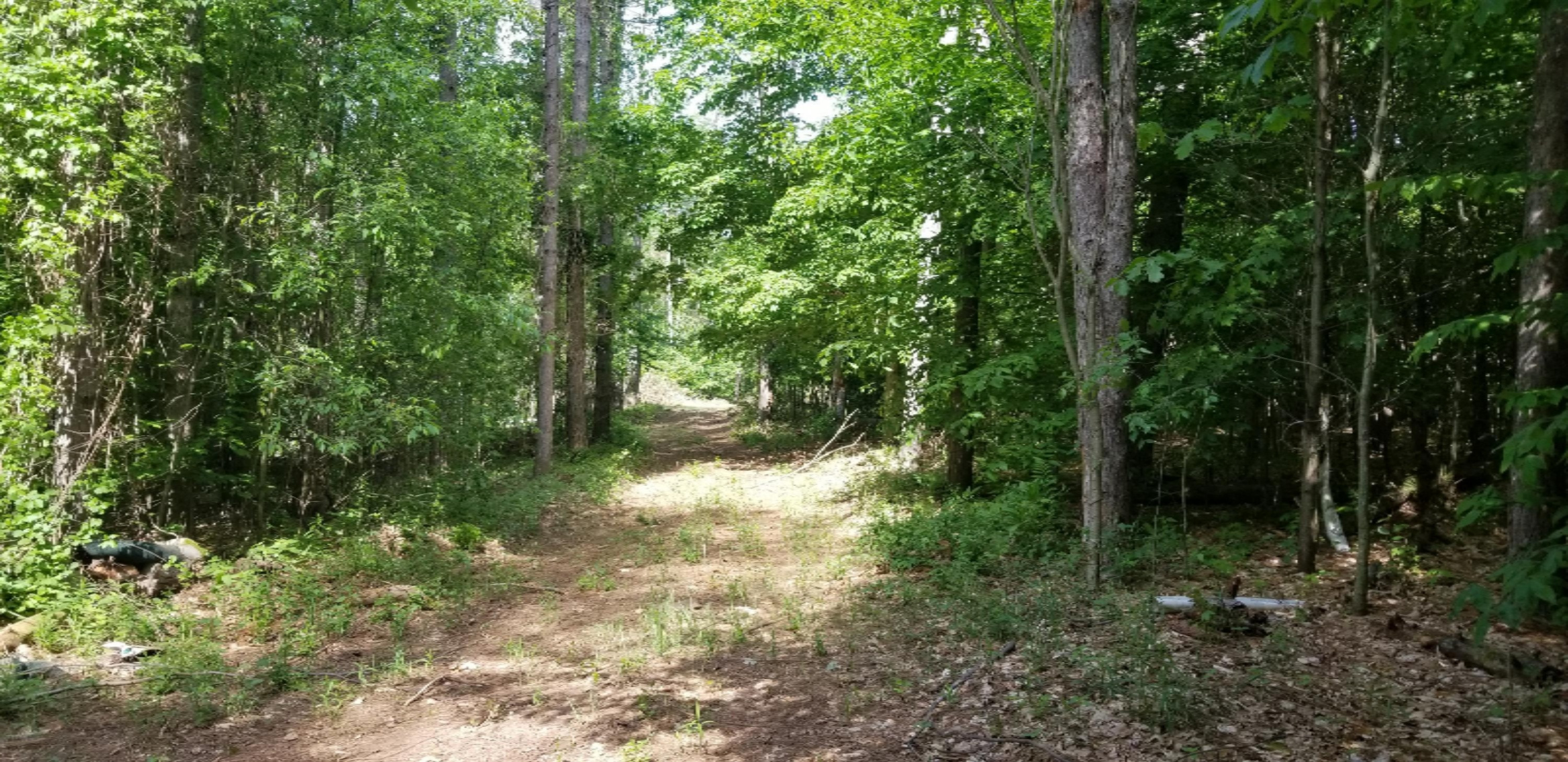 Lot A-3 Meadow View Lane