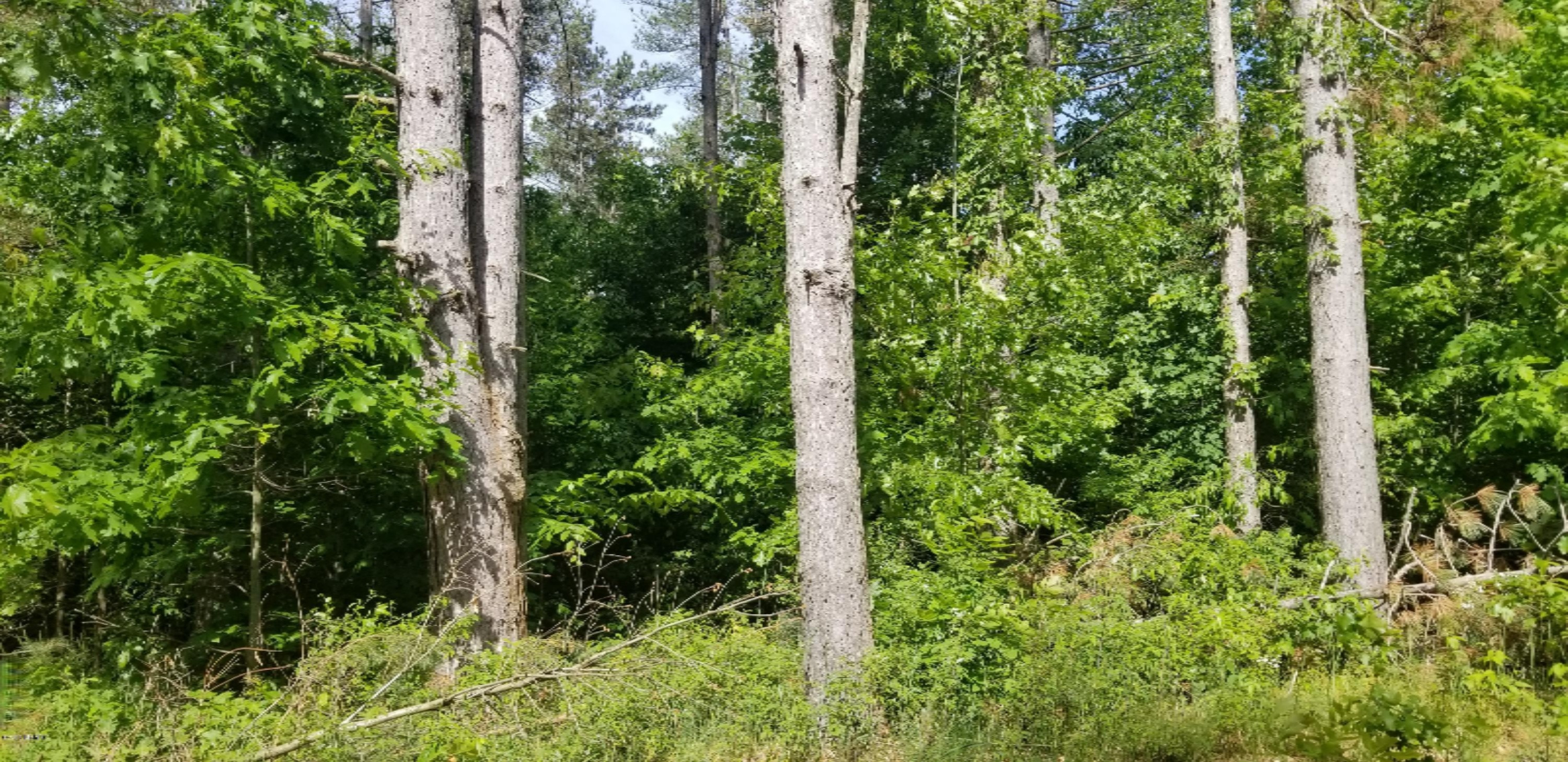 Lot A-3 Meadow View Lane
