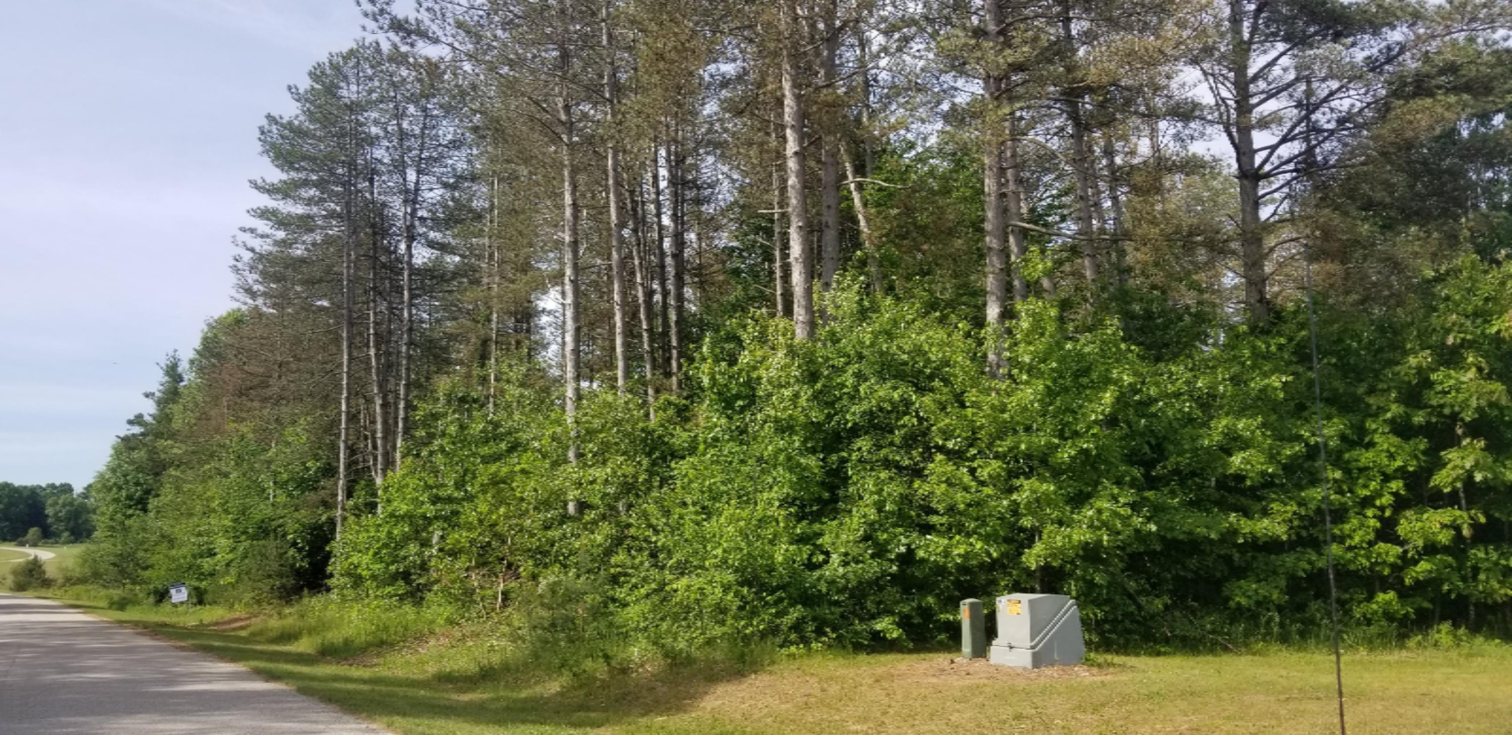 Lot A-3 Meadow View Lane