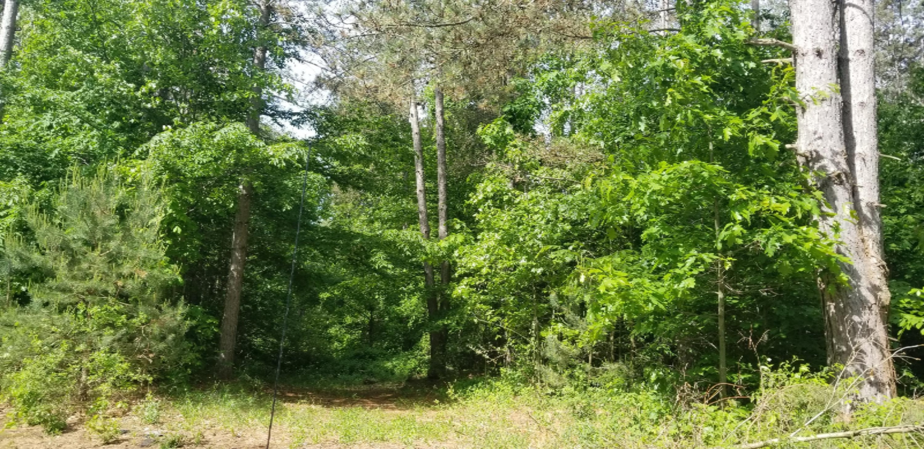 Lot A-3 Meadow View Lane