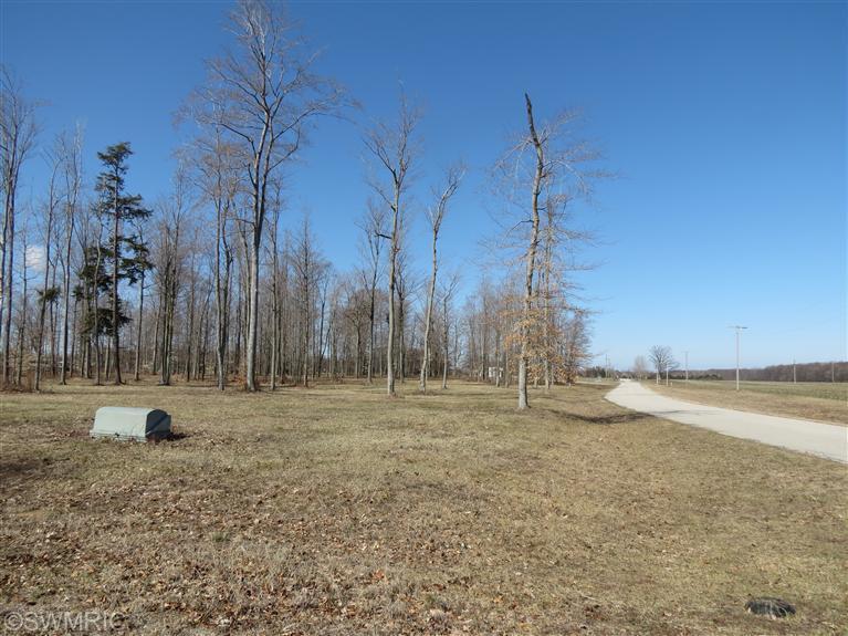 1 Site Harrison Road