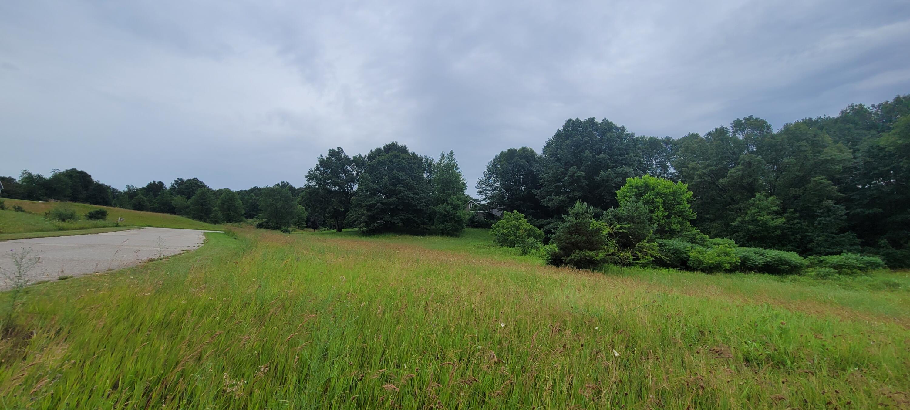 Lot I Meadow View Lane