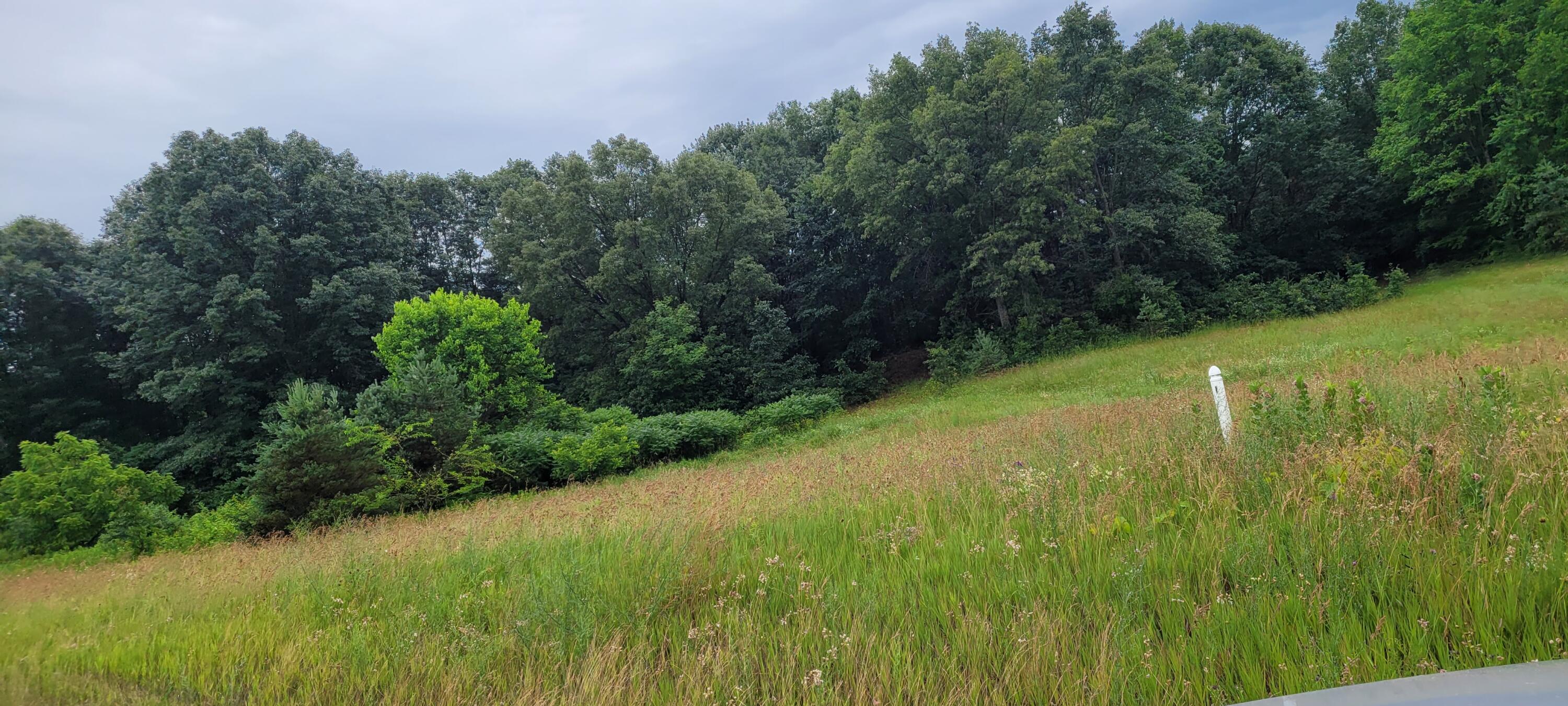 Lot I Meadow View Lane