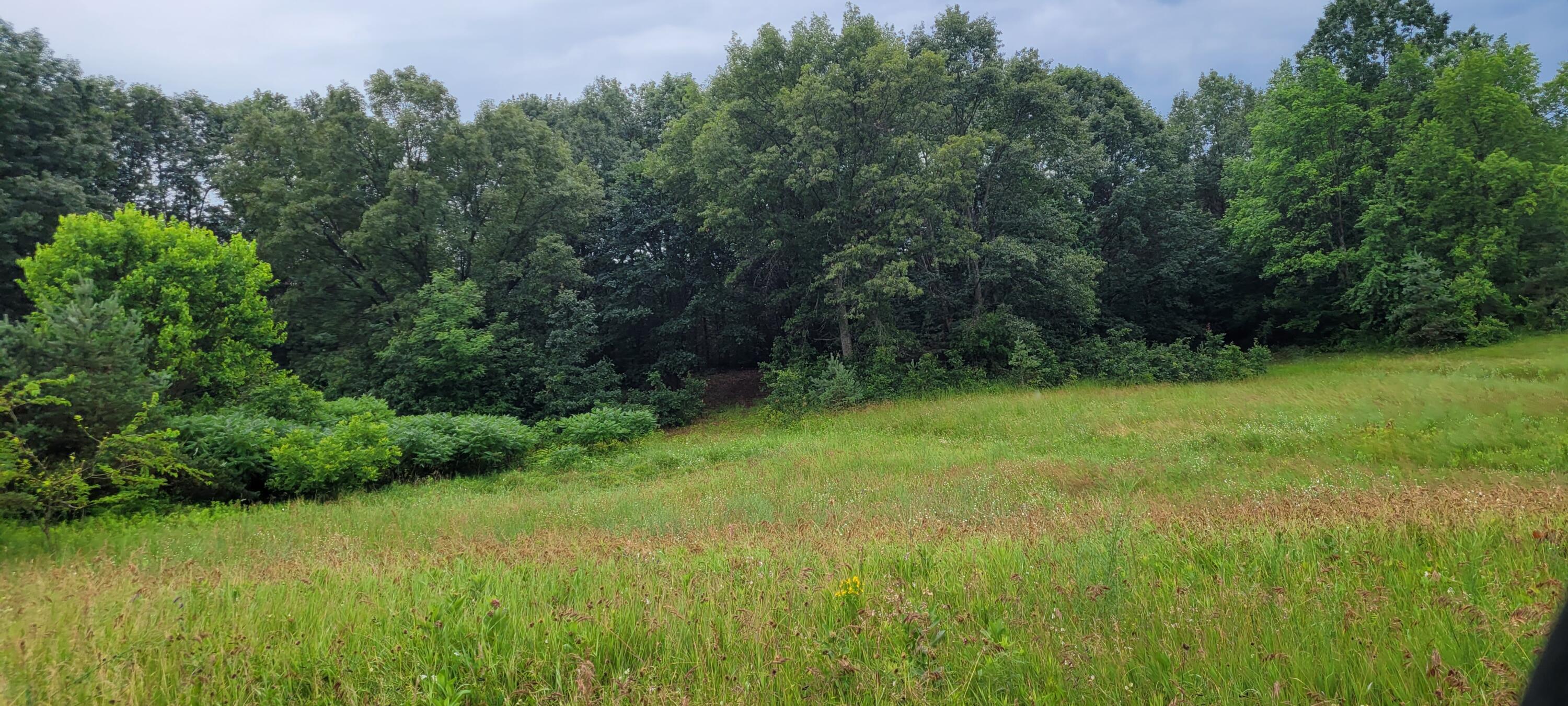 Lot I Meadow View Lane