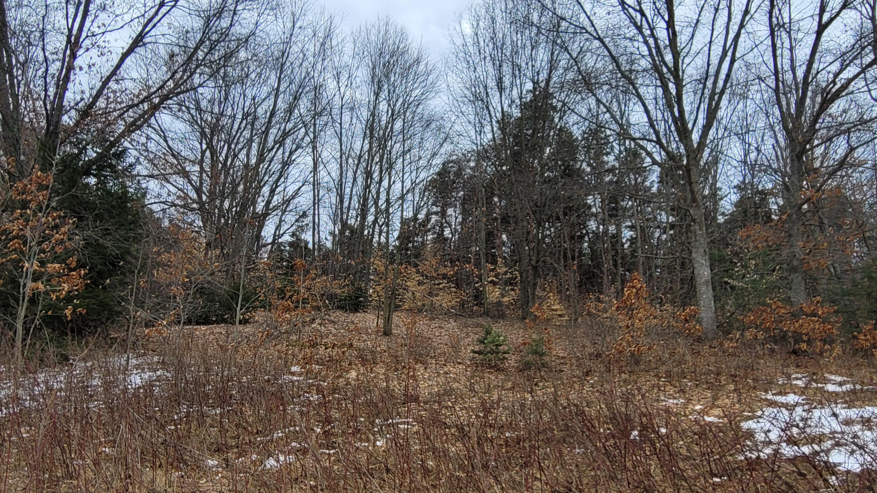 Lot I Meadow View Lane