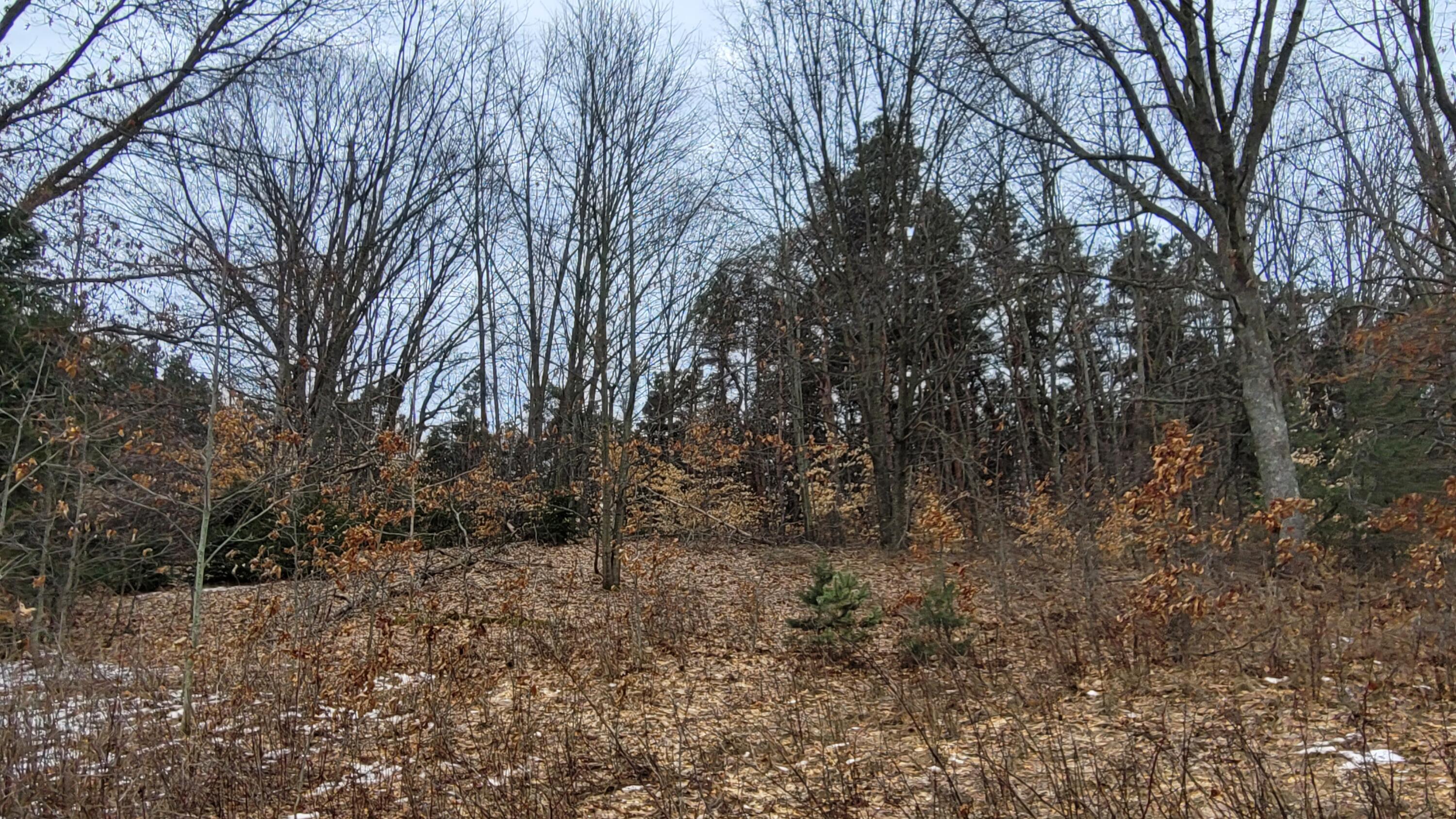 Lot I Meadow View Lane
