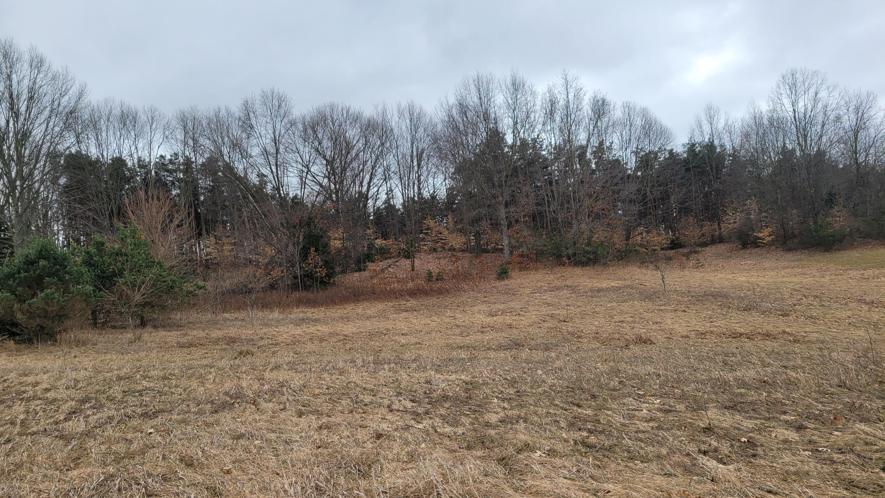 Lot I Meadow View Lane