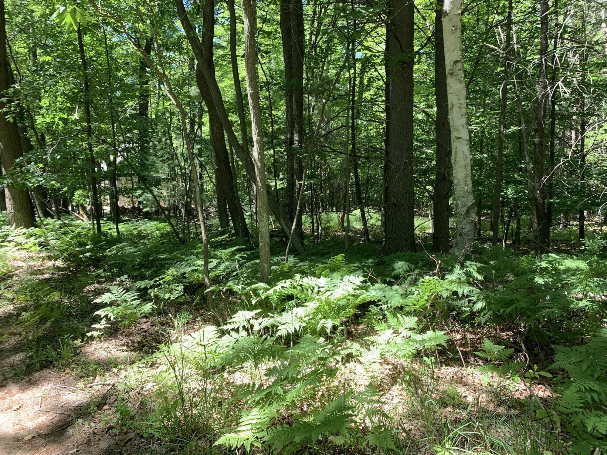 Range Street, Lots 31,32,33