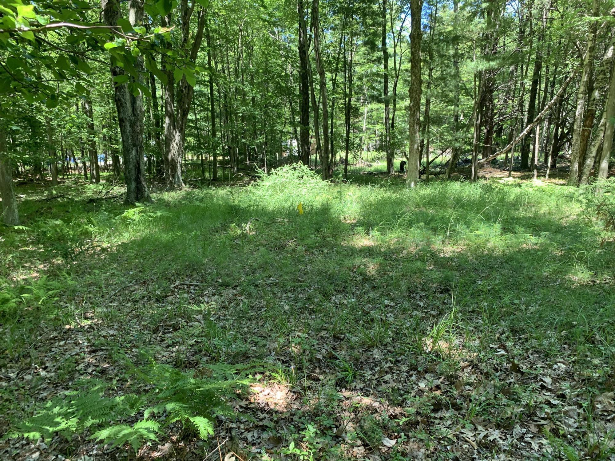 Range Street, Lots 31,32,33