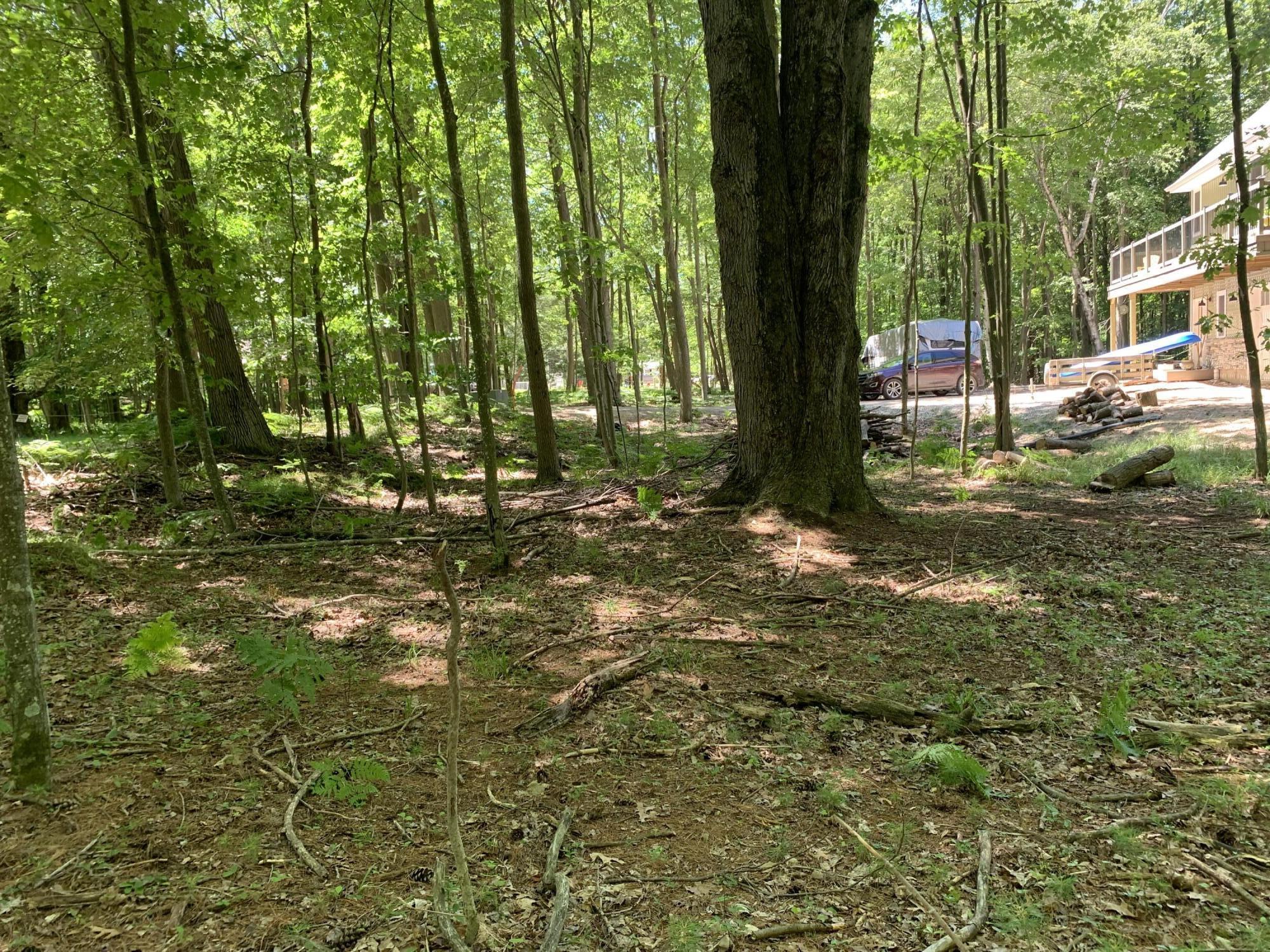 Range Street, Lots 31,32,33