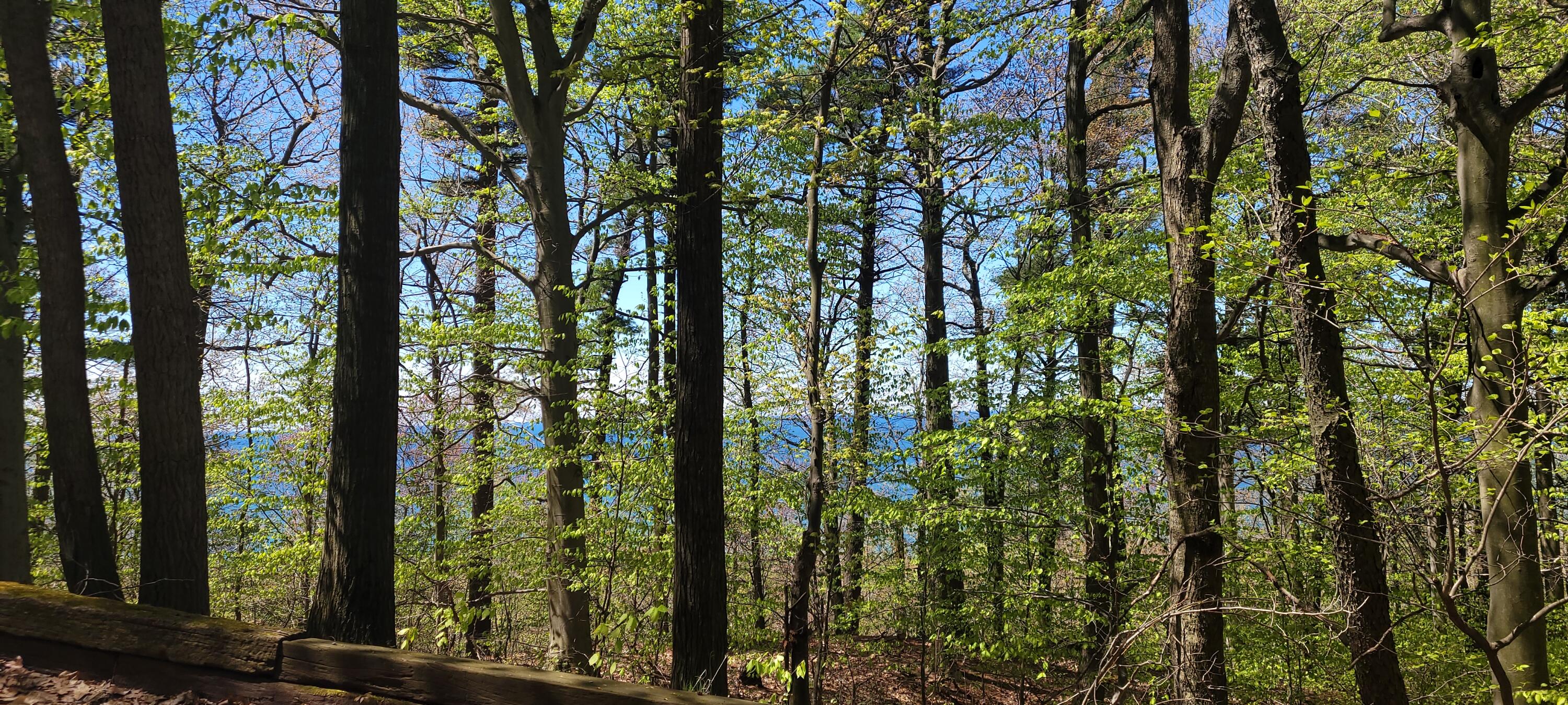 0 Lot 21 Sable Point Drive, 21