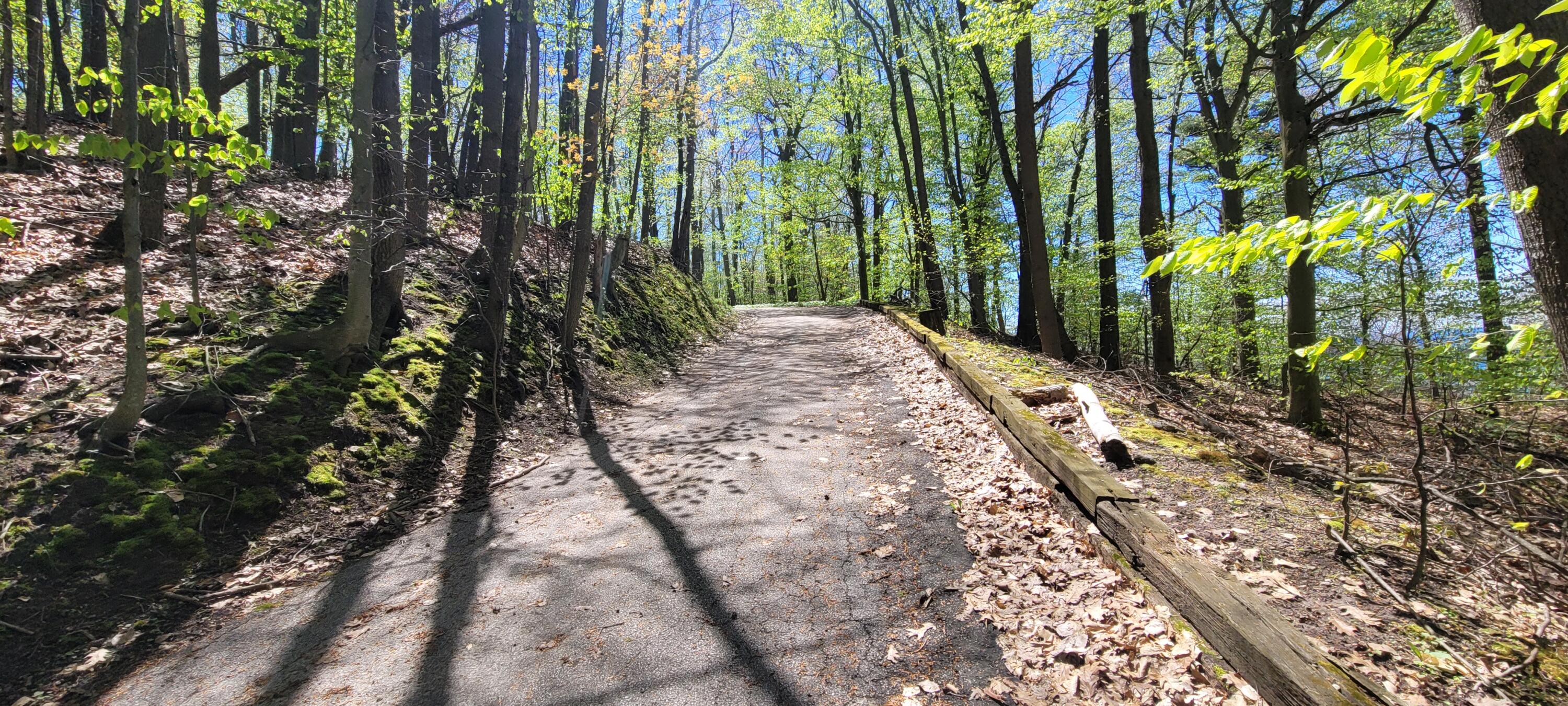0 Lot 21 Sable Point Drive, 21