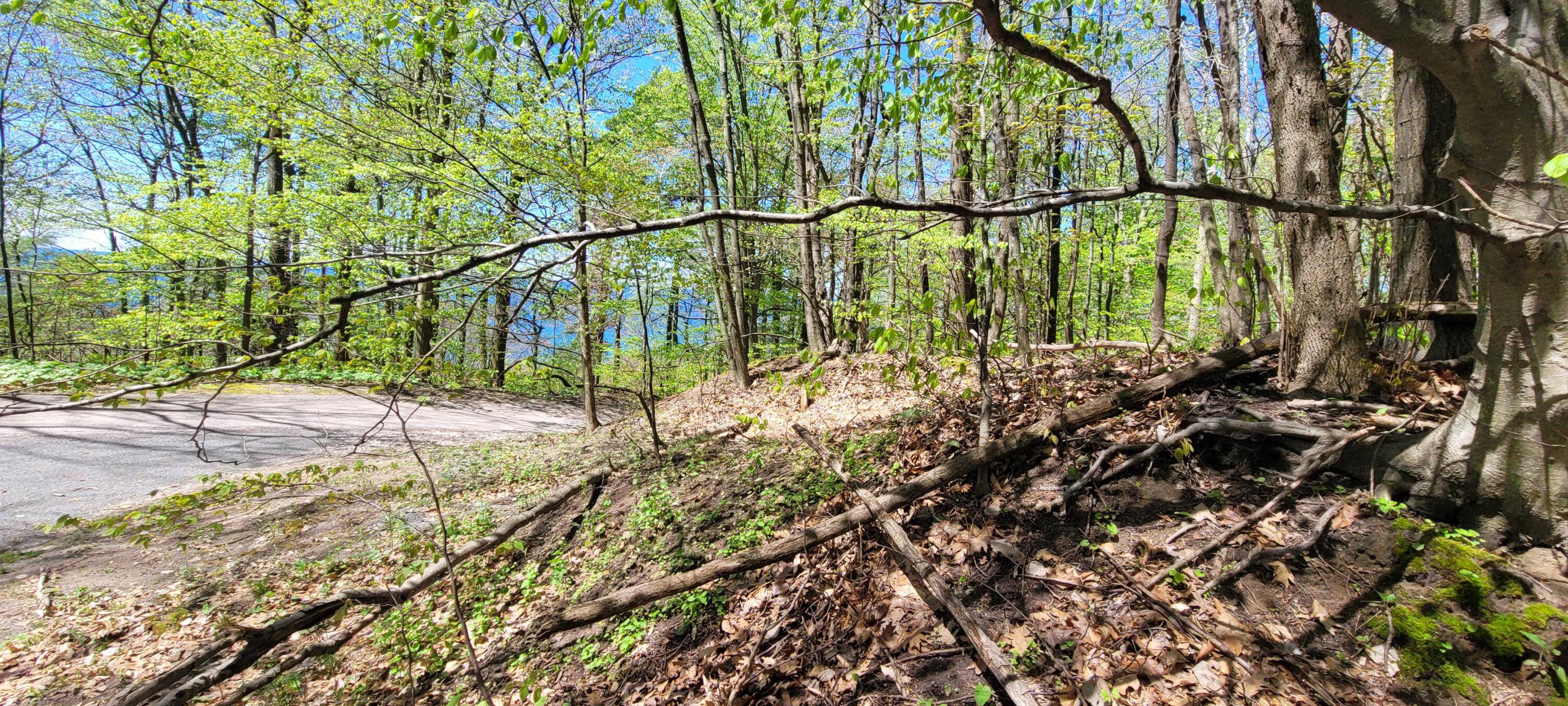 0 Lot 21 Sable Point Drive, 21