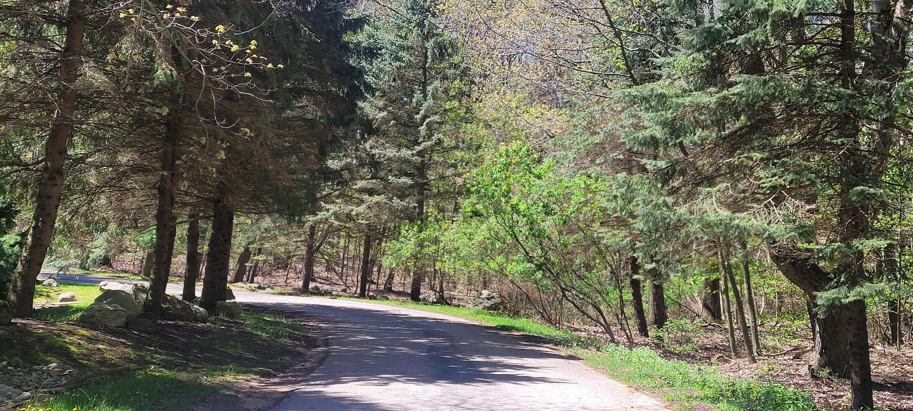 0 Lot 21 Sable Point Drive, 21