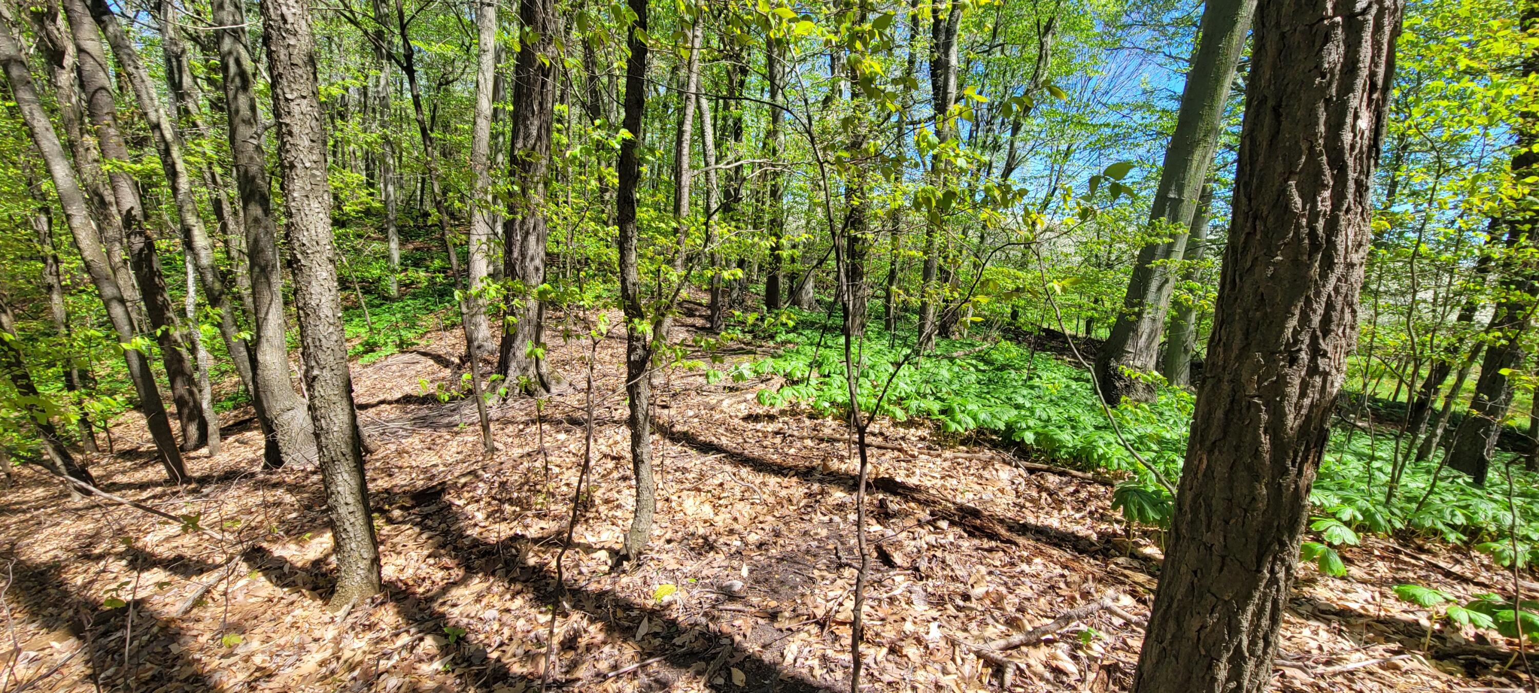 0 Lot 21 Sable Point Drive, 21