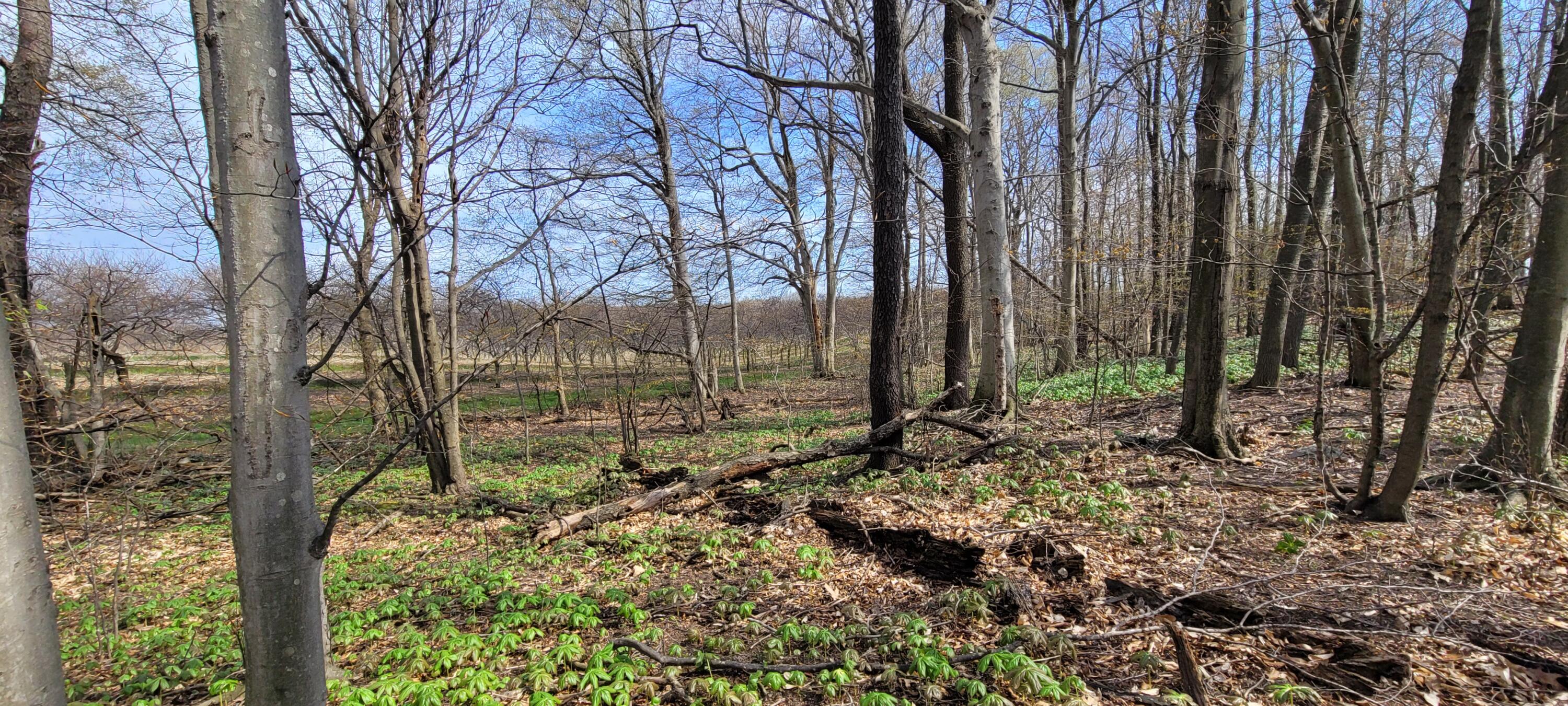 0 Lot 21 Sable Point Drive, 21