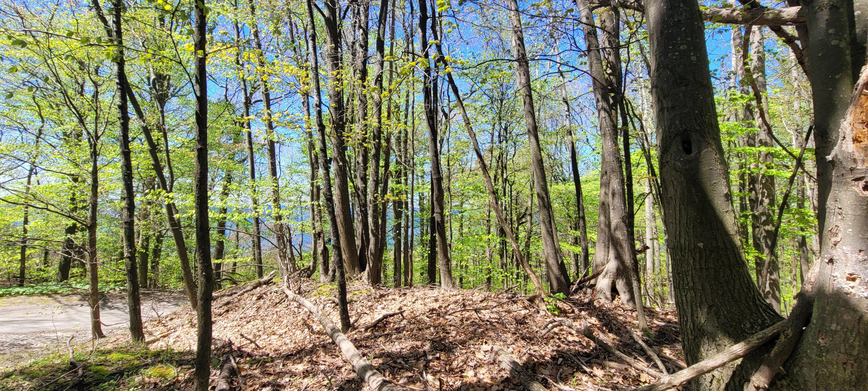 0 Lot 21 Sable Point Drive, 21