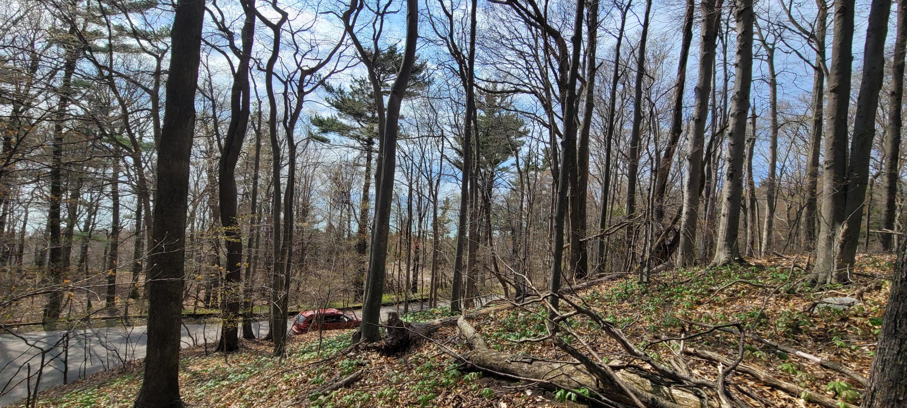 0 Lot 21 Sable Point Drive, 21