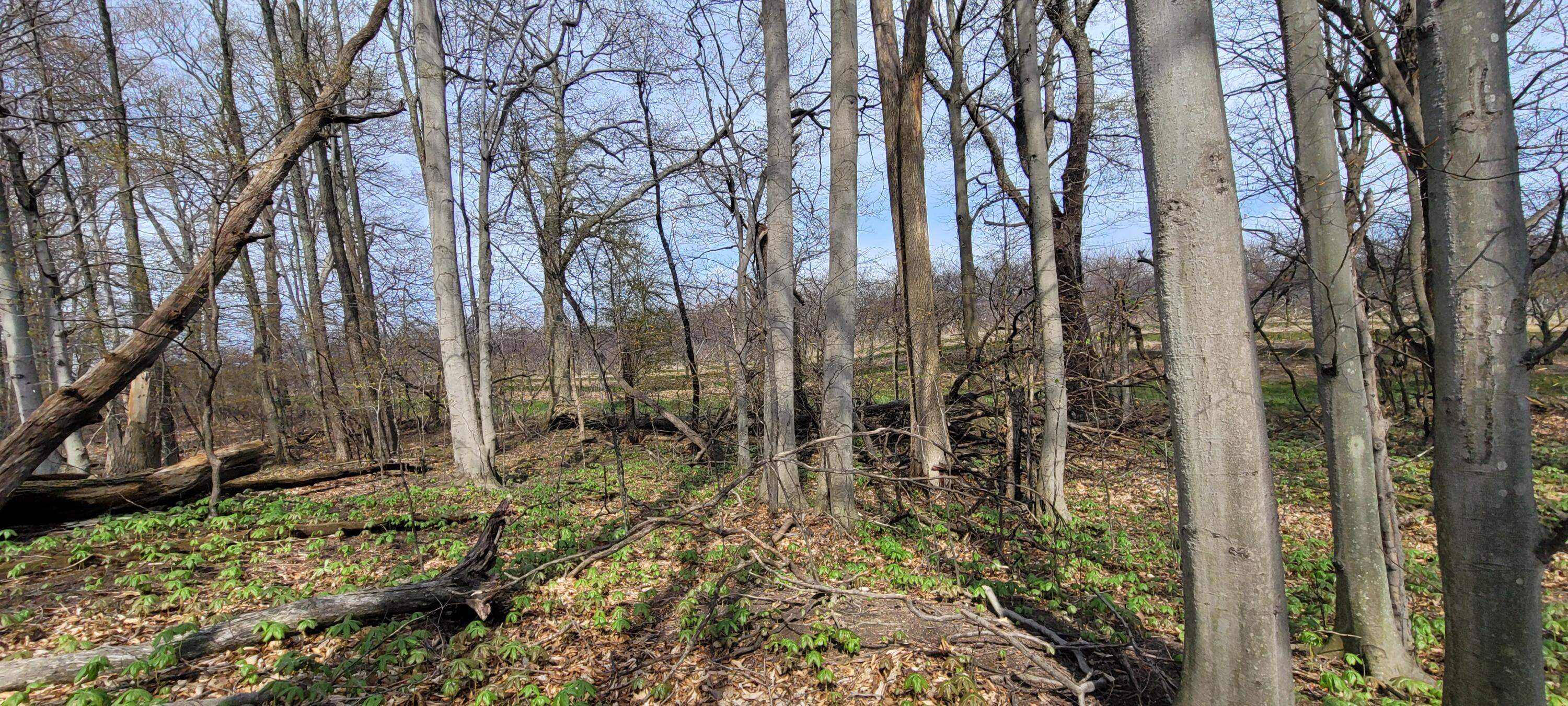 0 Lot 21 Sable Point Drive, 21