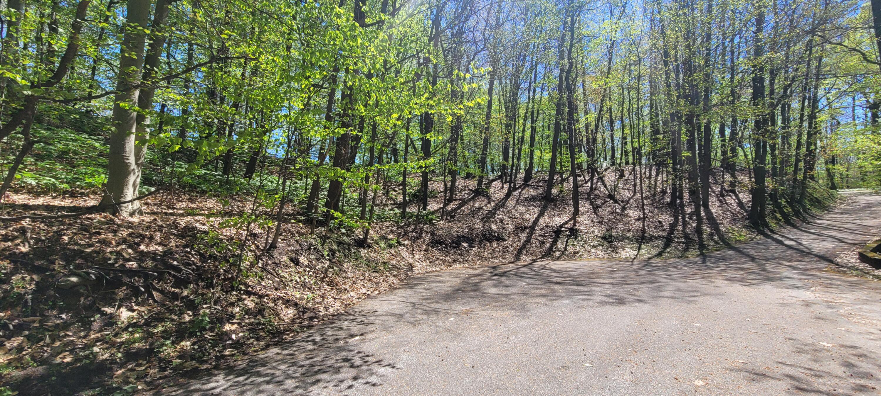 0 Lot 21 Sable Point Drive, 21