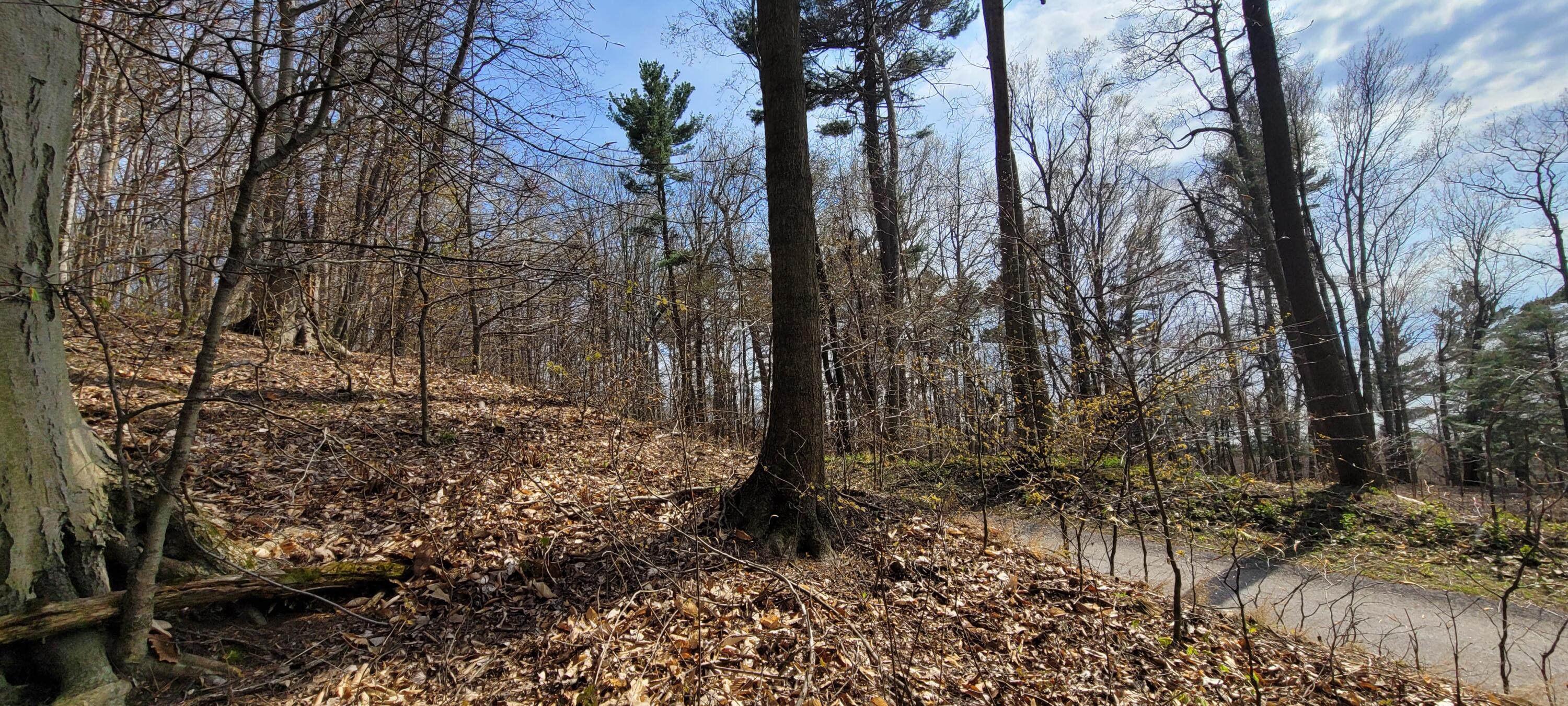 0 Lot 21 Sable Point Drive, 21